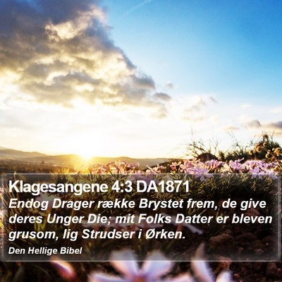 Klagesangene 4:3 DA1871 Bible Verse Image