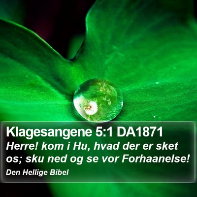 Klagesangene 5:1 DA1871 Bible Verse Image