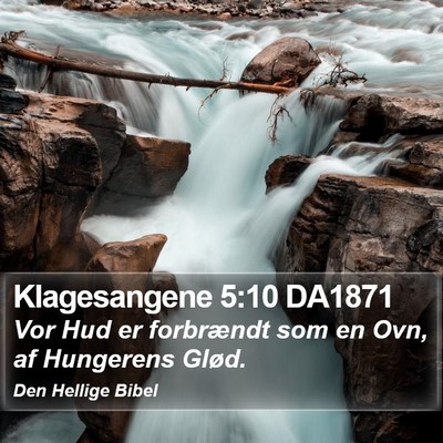 Klagesangene 5:10 DA1871 Bible Verse Image