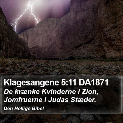 Klagesangene 5:11 DA1871 Bible Verse Image