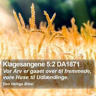 Klagesangene 5:2 DA1871 Bible Verse Image