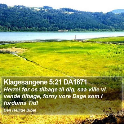 Klagesangene 5:21 DA1871 Bible Verse Image
