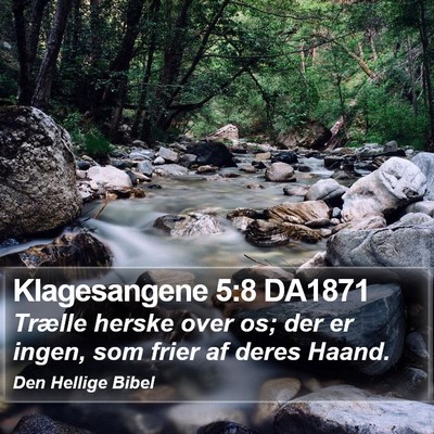 Klagesangene 5:8 DA1871 Bible Verse Image
