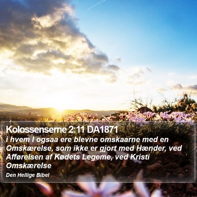 Kolossenserne 2:11 DA1871 Bible Verse Image