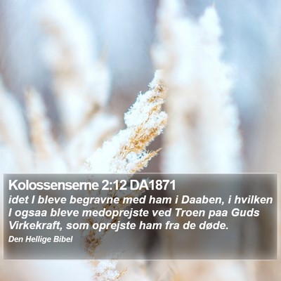 Kolossenserne 2:12 DA1871 Bible Verse Image