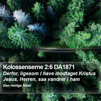 Kolossenserne 2:6 DA1871 Bible Verse Image