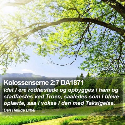 Kolossenserne 2:7 DA1871 Bible Verse Image