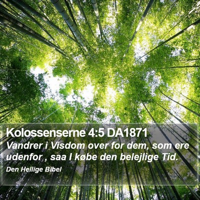 Kolossenserne 4:5 DA1871 Bible Verse Image
