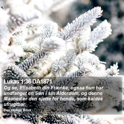 Lukas 1:36 DA1871 Bible Verse Image