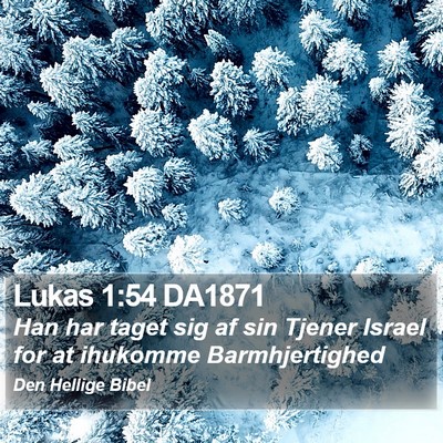 Lukas 1:54 DA1871 Bible Verse Image