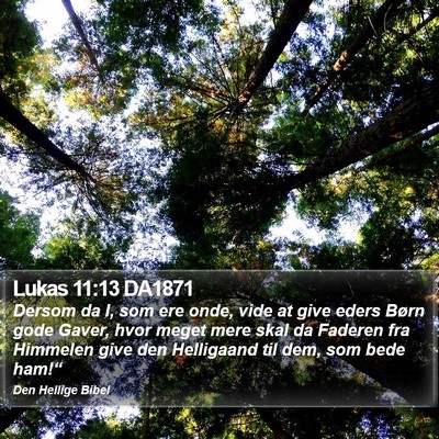 Lukas 11:13 DA1871 Bible Verse Image