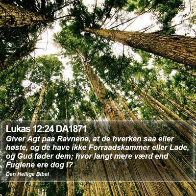 Lukas 12:24 DA1871 Bible Verse Image