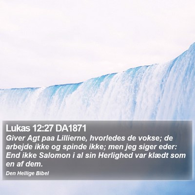 Lukas 12:27 DA1871 Bible Verse Image