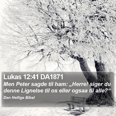 Lukas 12:41 DA1871 Bible Verse Image