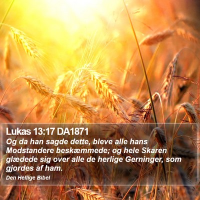 Lukas 13:17 DA1871 Bible Verse Image