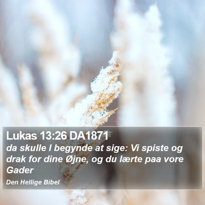 Lukas 13:26 DA1871 Bible Verse Image