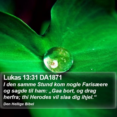Lukas 13:31 DA1871 Bible Verse Image