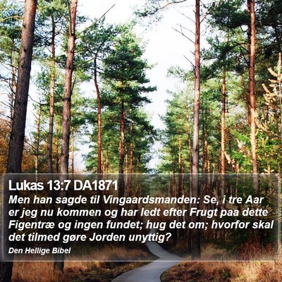 Lukas 13:7 DA1871 Bible Verse Image
