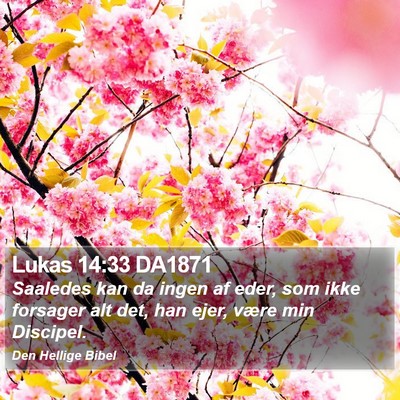 Lukas 14:33 DA1871 Bible Verse Image