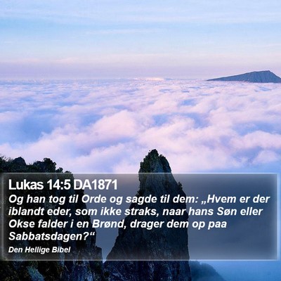 Lukas 14:5 DA1871 Bible Verse Image