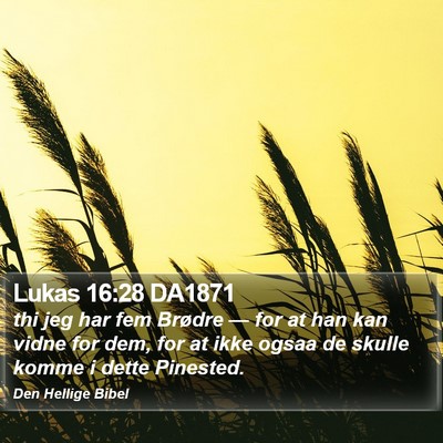 Lukas 16:28 DA1871 Bible Verse Image