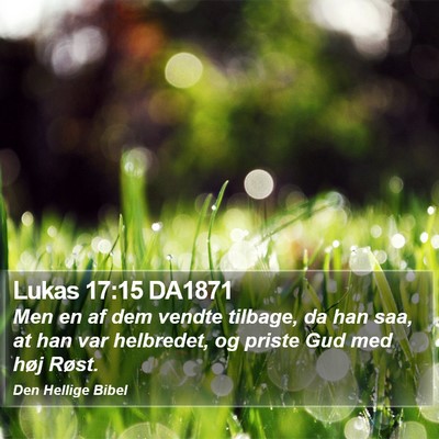 Lukas 17:15 DA1871 Bible Verse Image