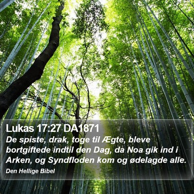 Lukas 17:27 DA1871 Bible Verse Image