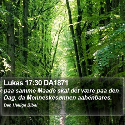 Lukas 17:30 DA1871 Bible Verse Image