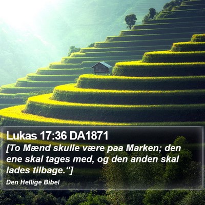 Lukas 17:36 DA1871 Bible Verse Image