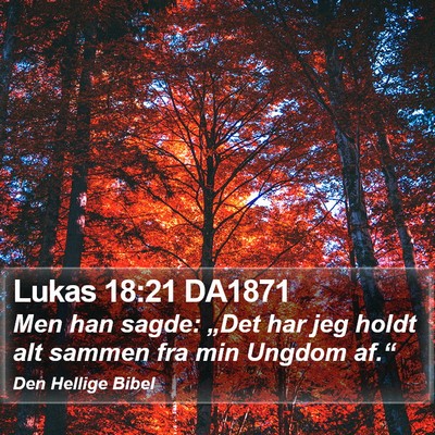 Lukas 18:21 DA1871 Bible Verse Image
