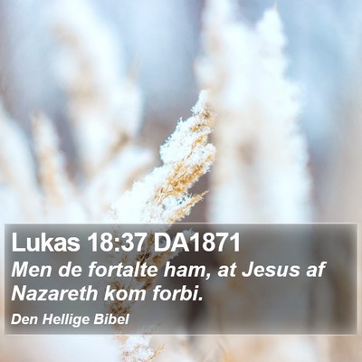 Lukas 18:37 DA1871 Bible Verse Image
