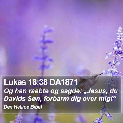 Lukas 18:38 DA1871 Bible Verse Image