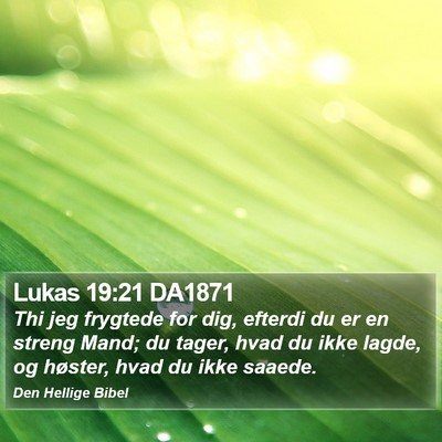 Lukas 19:21 DA1871 Bible Verse Image