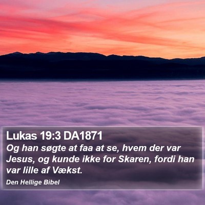 Lukas 19:3 DA1871 Bible Verse Image