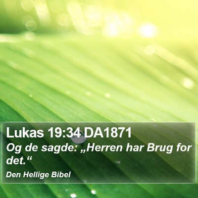 Lukas 19:34 DA1871 Bible Verse Image