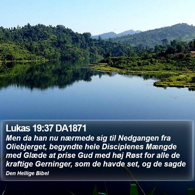 Lukas 19:37 DA1871 Bible Verse Image
