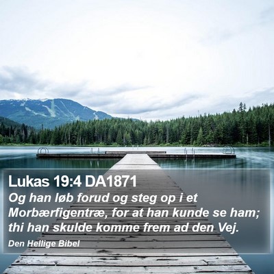 Lukas 19:4 DA1871 Bible Verse Image
