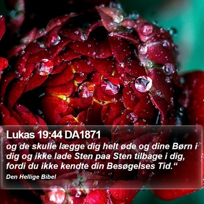 Lukas 19:44 DA1871 Bible Verse Image