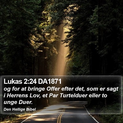 Lukas 2:24 DA1871 Bible Verse Image