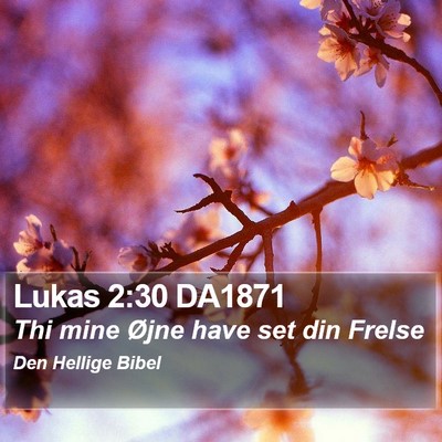 Lukas 2:30 DA1871 Bible Verse Image
