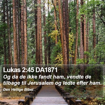 Lukas 2:45 DA1871 Bible Verse Image