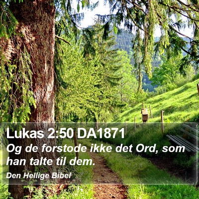 Lukas 2:50 DA1871 Bible Verse Image