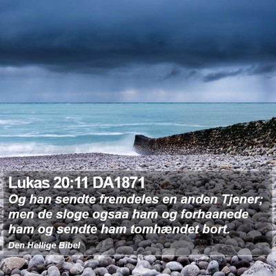 Lukas 20:11 DA1871 Bible Verse Image