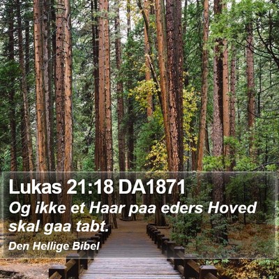 Lukas 21:18 DA1871 Bible Verse Image