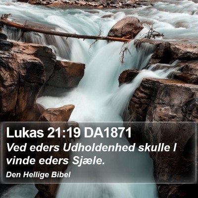 Lukas 21:19 DA1871 Bible Verse Image