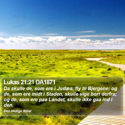 Lukas 21:21 DA1871 Bible Verse Image
