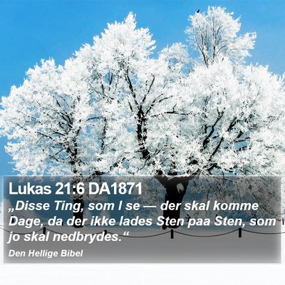 Lukas 21:6 DA1871 Bible Verse Image