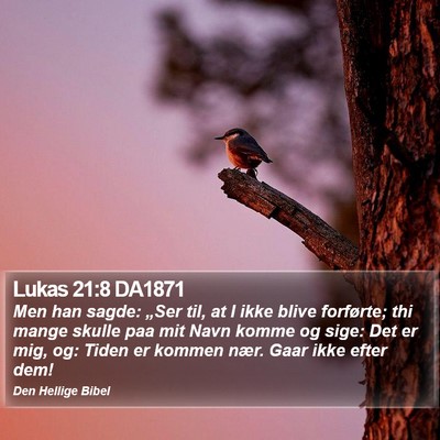Lukas 21:8 DA1871 Bible Verse Image
