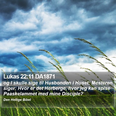Lukas 22:11 DA1871 Bible Verse Image
