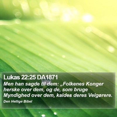 Lukas 22:25 DA1871 Bible Verse Image